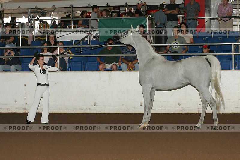 Proof r7_05__1529