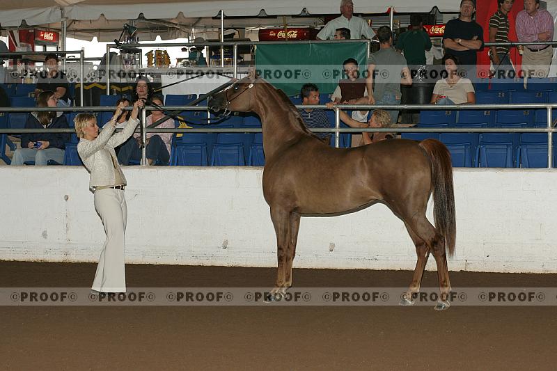 Proof r7_05__1531