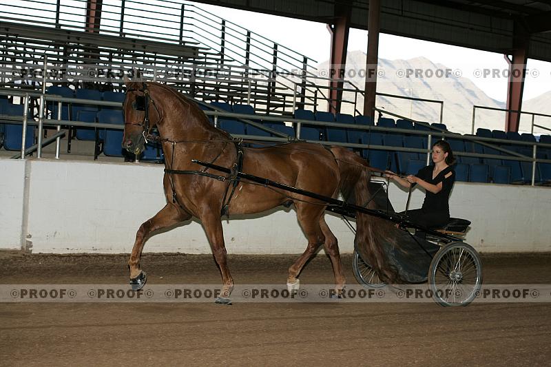 Proof r7_05__0208