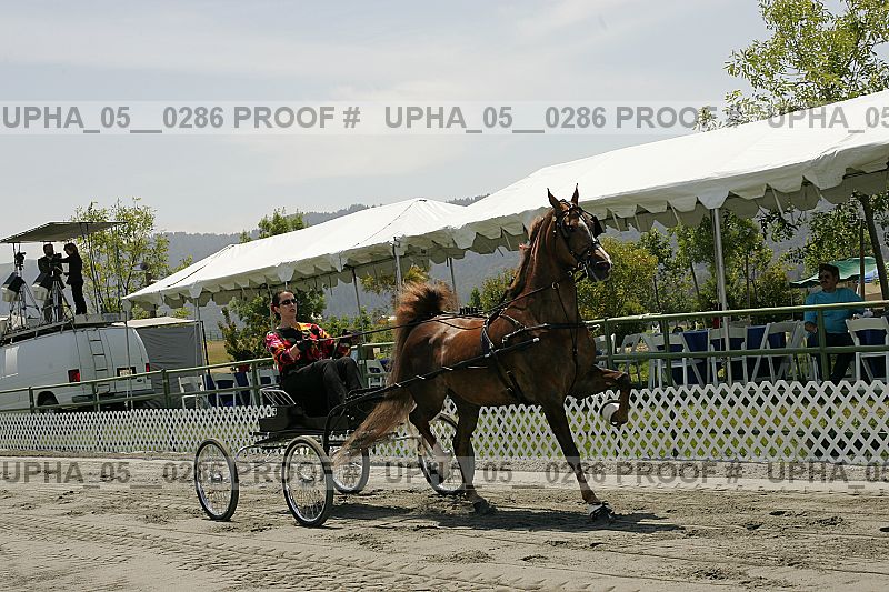 Proof upha_05__0286