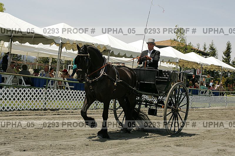 Proof upha_05__0293