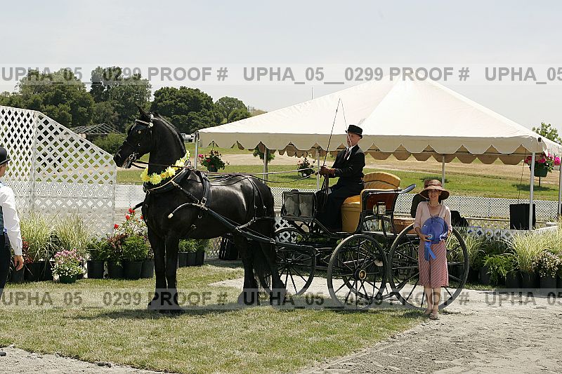 Proof upha_05__0299