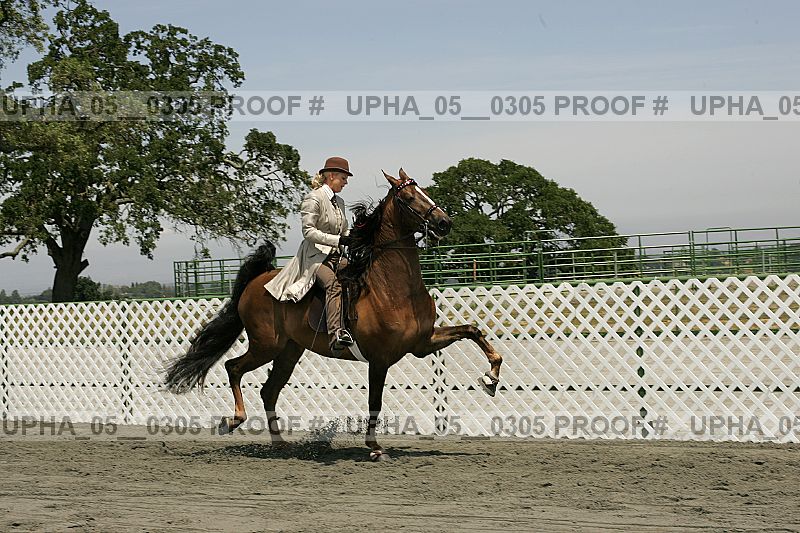 Proof upha_05__0305