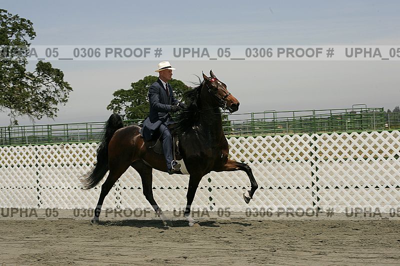 Proof upha_05__0306