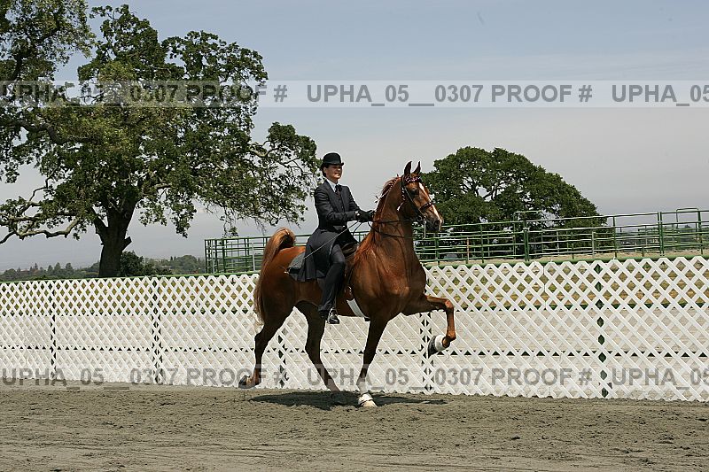Proof upha_05__0307