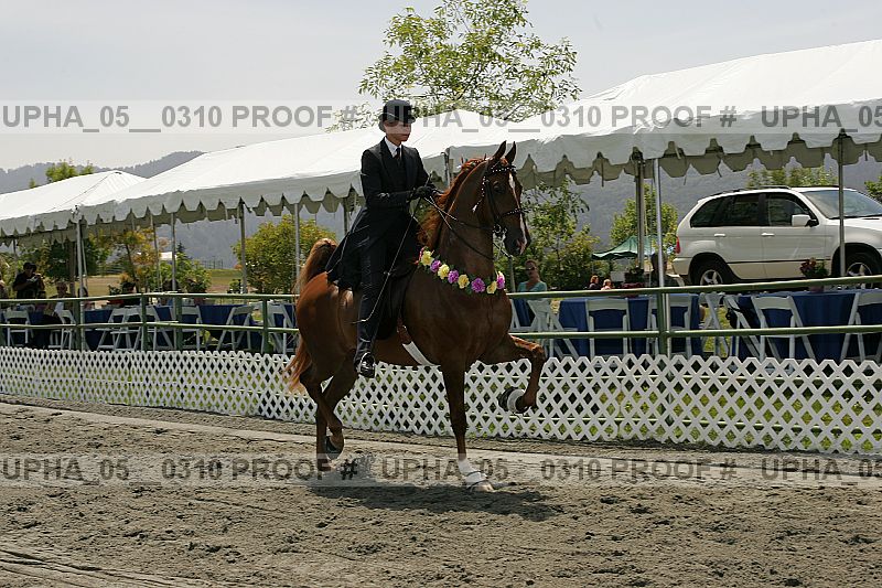 Proof upha_05__0310