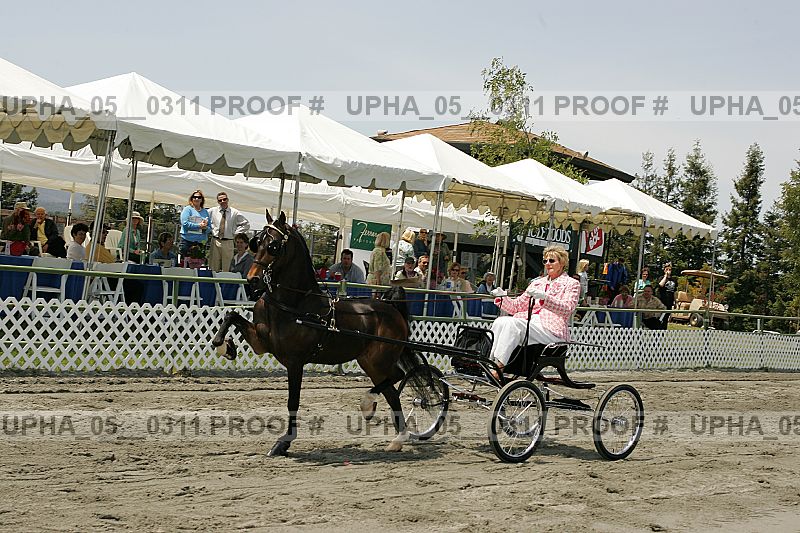 Proof upha_05__0311