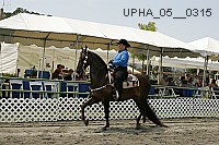 Proof upha_05__0315