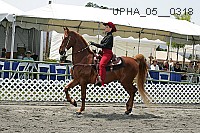upha_05__0318 proof