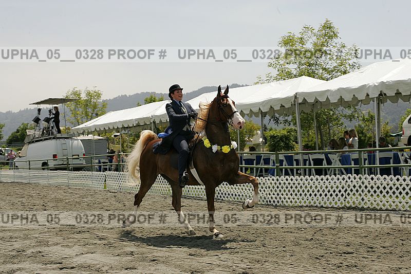 Proof upha_05__0328