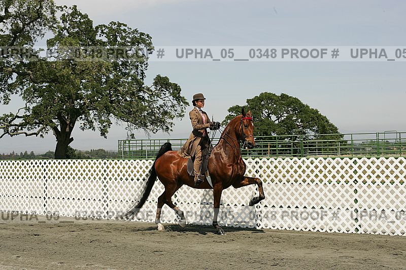 Proof upha_05__0348