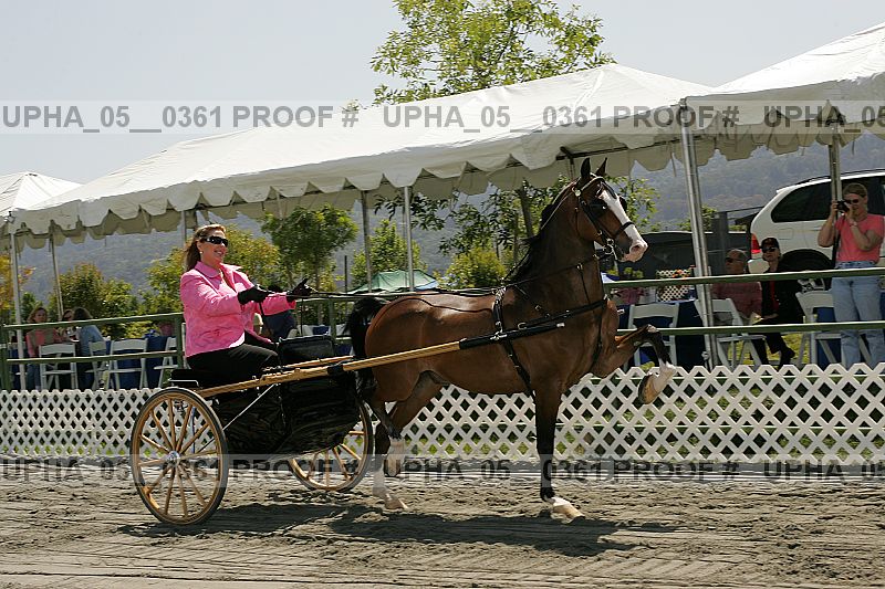 Proof upha_05__0361