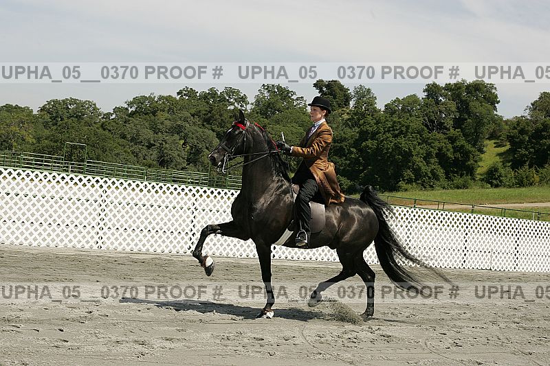 Proof upha_05__0370