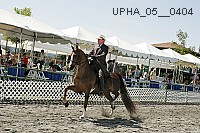 upha_05__0404 proof