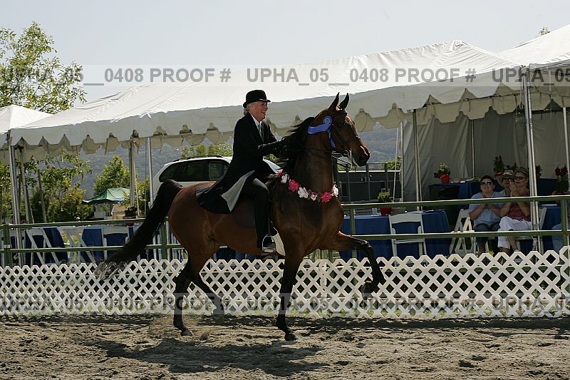 Proof upha_05__0408