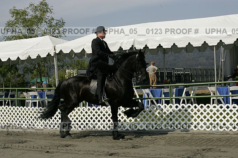 Proof upha_05__0123
