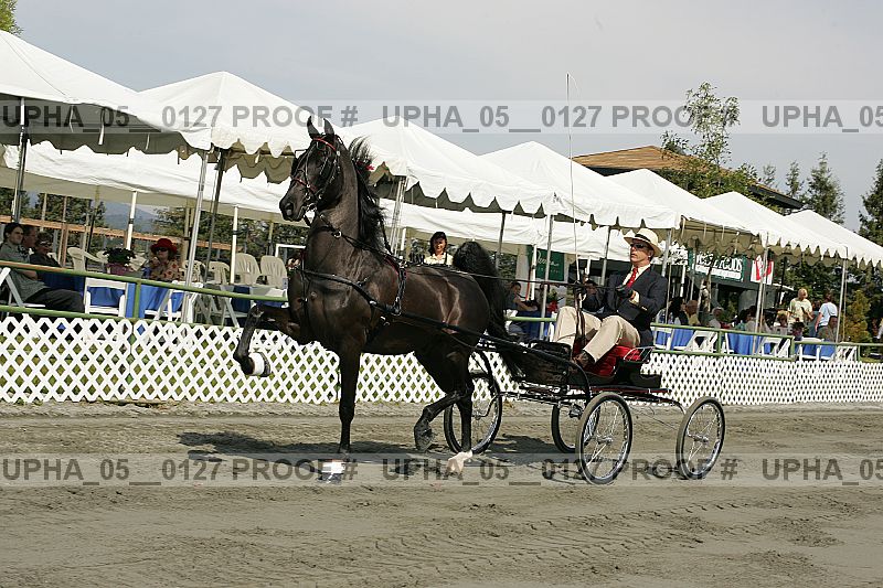 Proof upha_05__0127