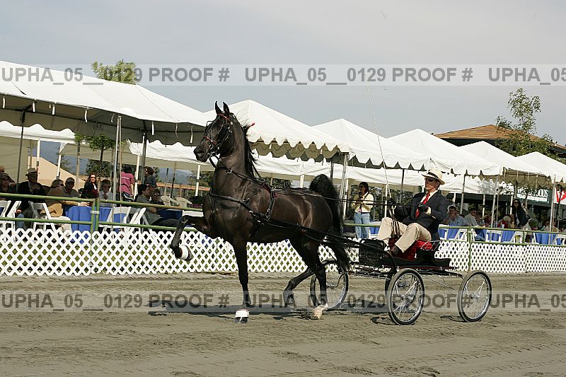 Proof upha_05__0129