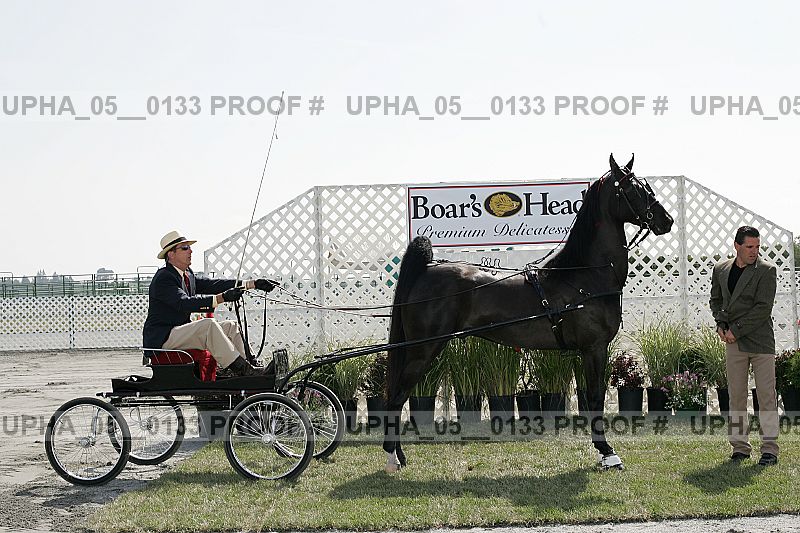 Proof upha_05__0133