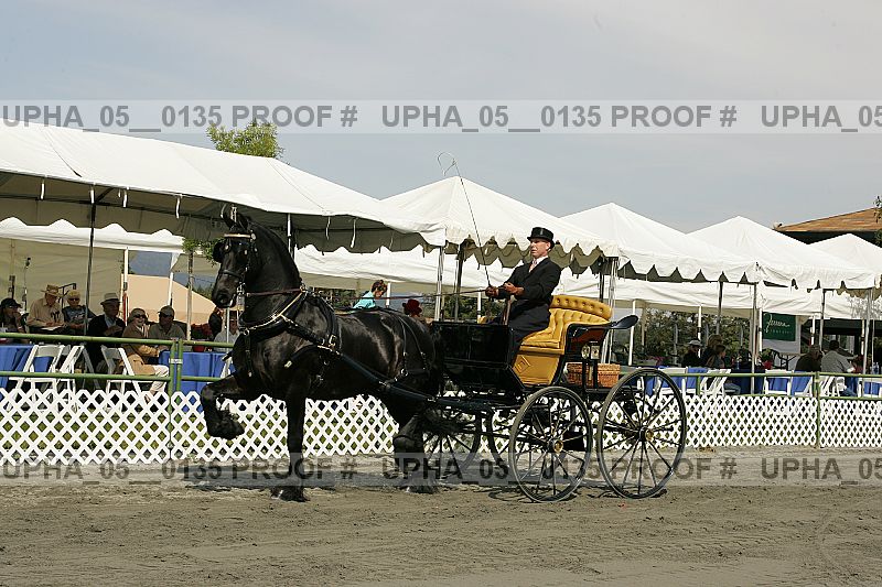 Proof upha_05__0135