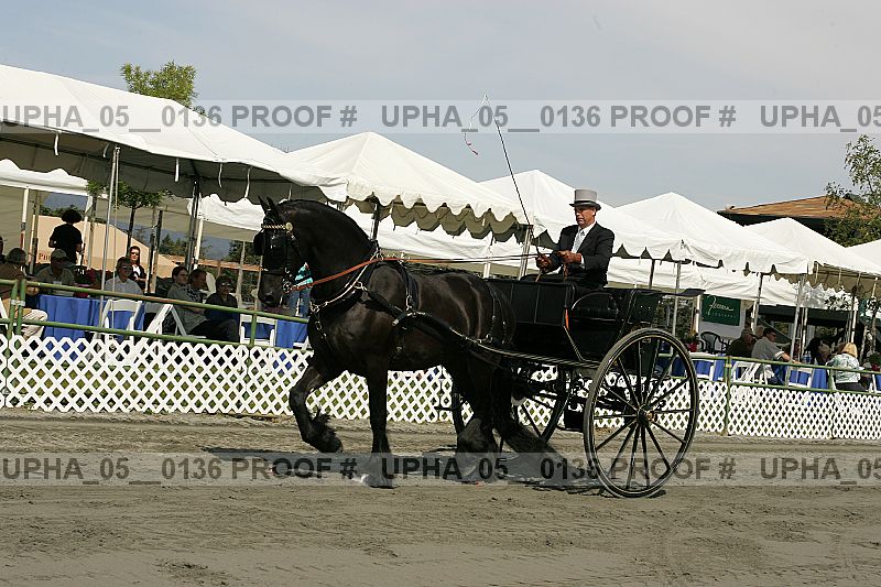 Proof upha_05__0136