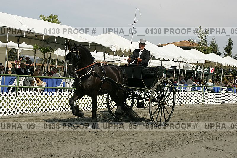 Proof upha_05__0138