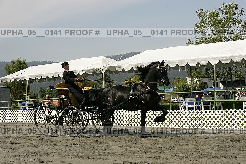 Proof upha_05__0141
