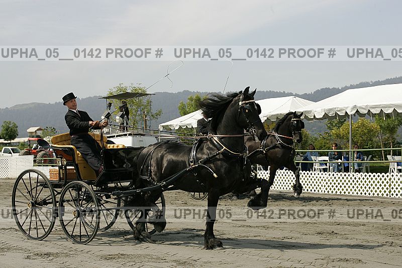 Proof upha_05__0142