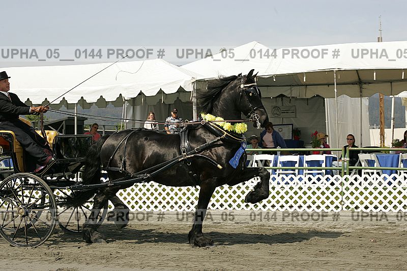 Proof upha_05__0144