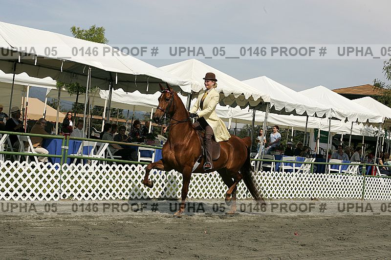 Proof upha_05__0146