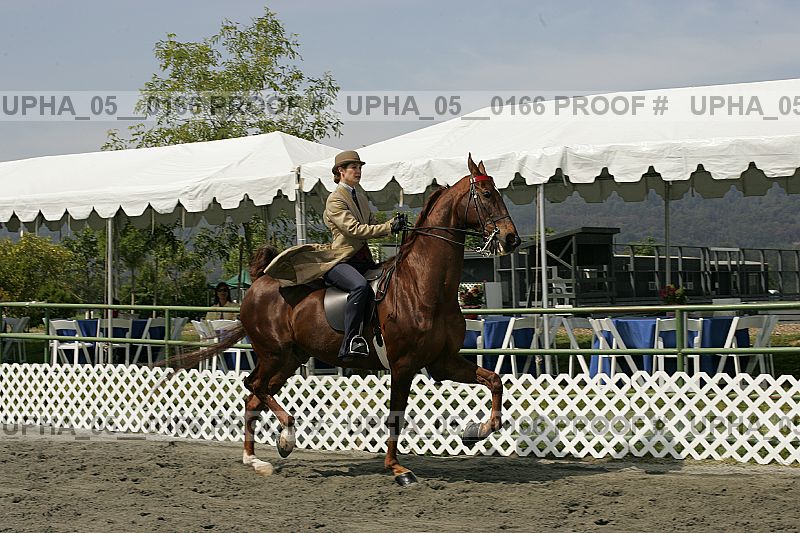 Proof upha_05__0166