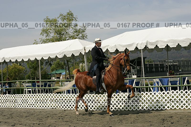 Proof upha_05__0167
