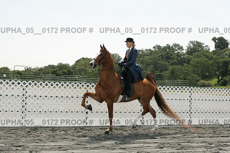 Proof upha_05__0172