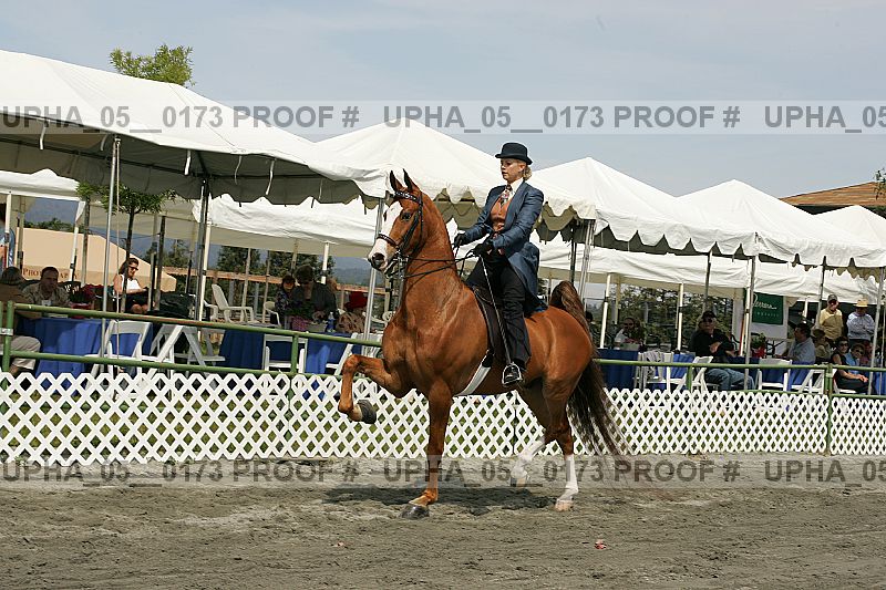 Proof upha_05__0173