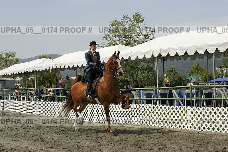 Proof upha_05__0174