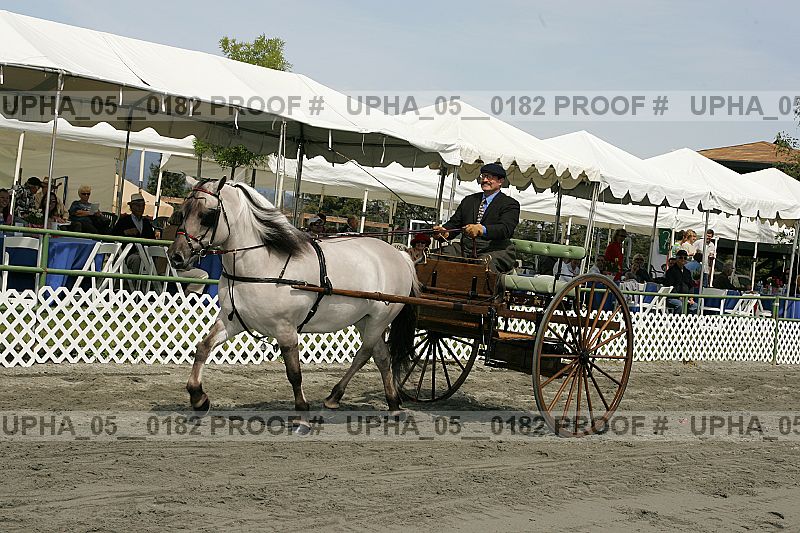 Proof upha_05__0182