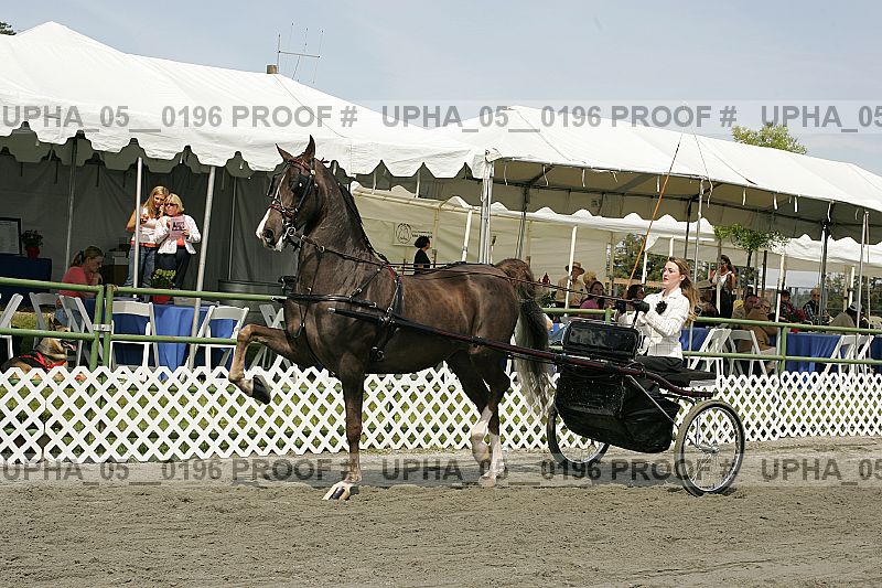 Proof upha_05__0196