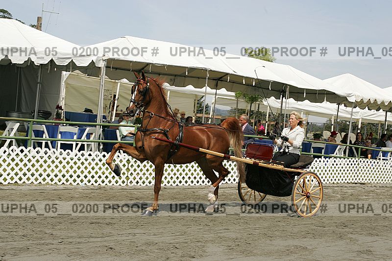 Proof upha_05__0200