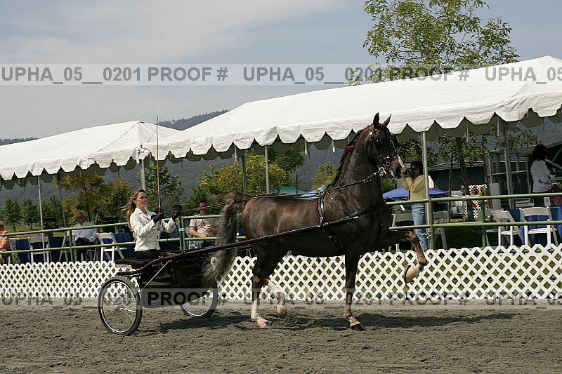 Proof upha_05__0201