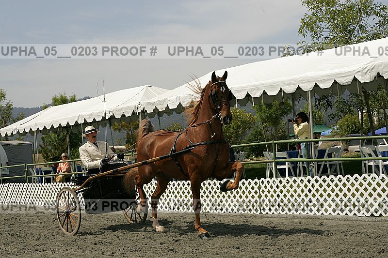 Proof upha_05__0203