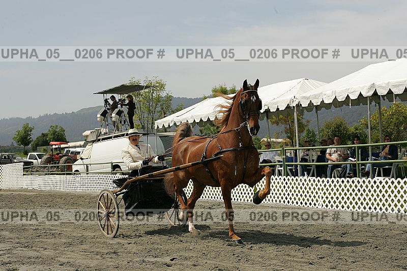 Proof upha_05__0206