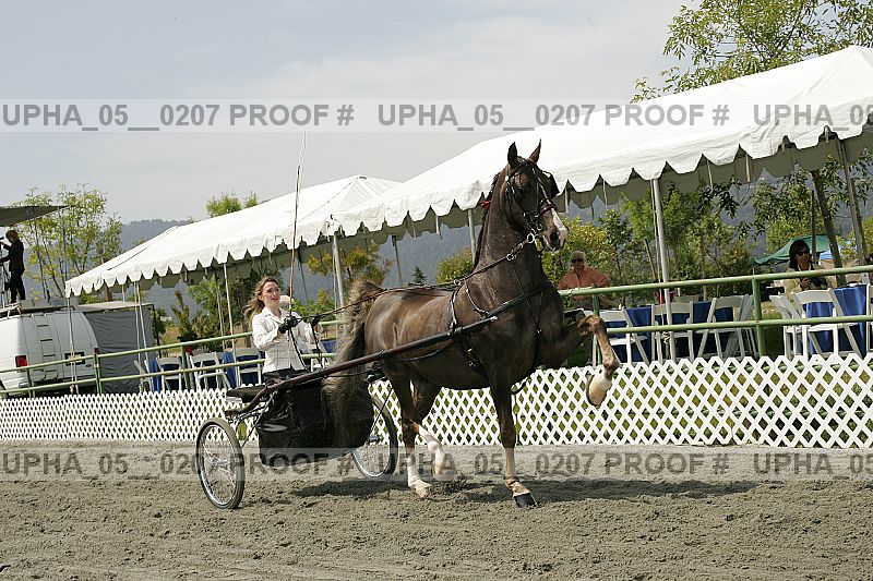 Proof upha_05__0207