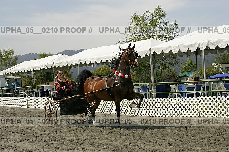 Proof upha_05__0210