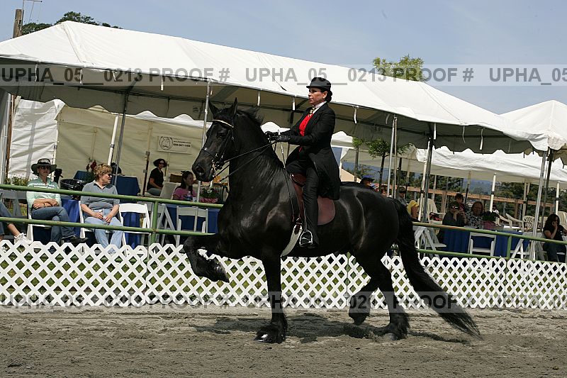 Proof upha_05__0213