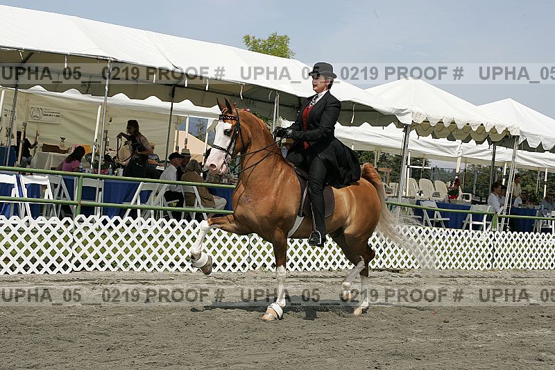 Proof upha_05__0219