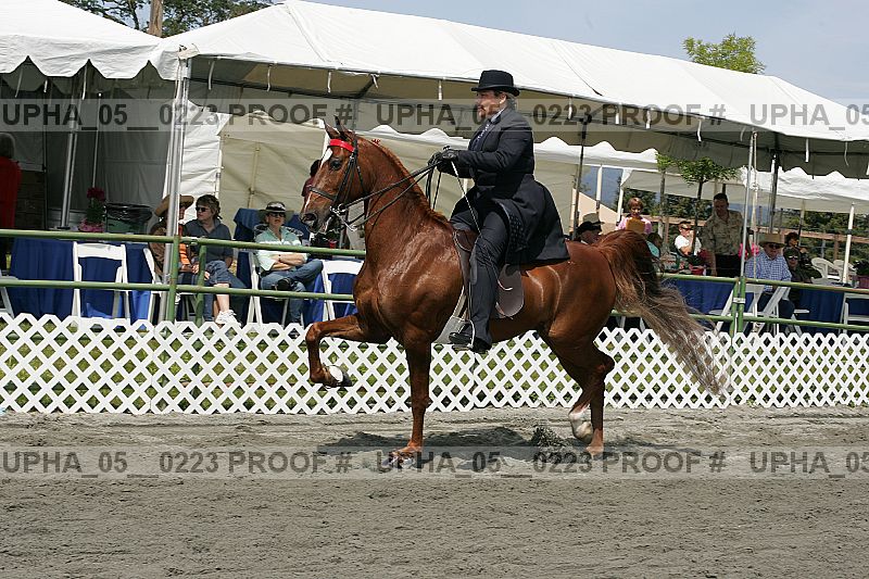 Proof upha_05__0223