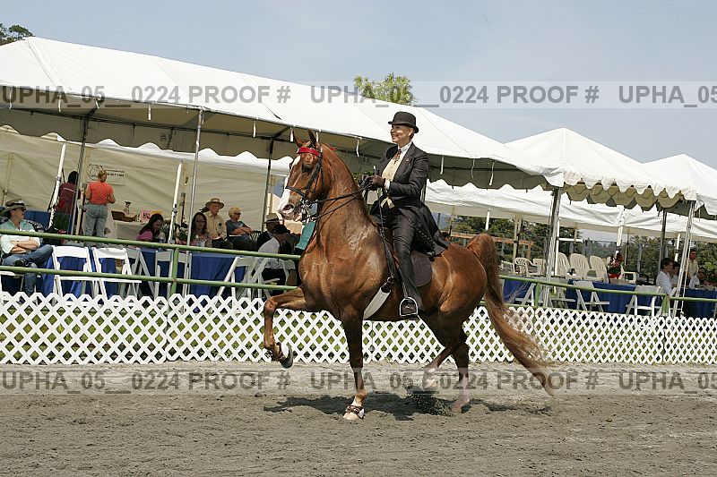 Proof upha_05__0224
