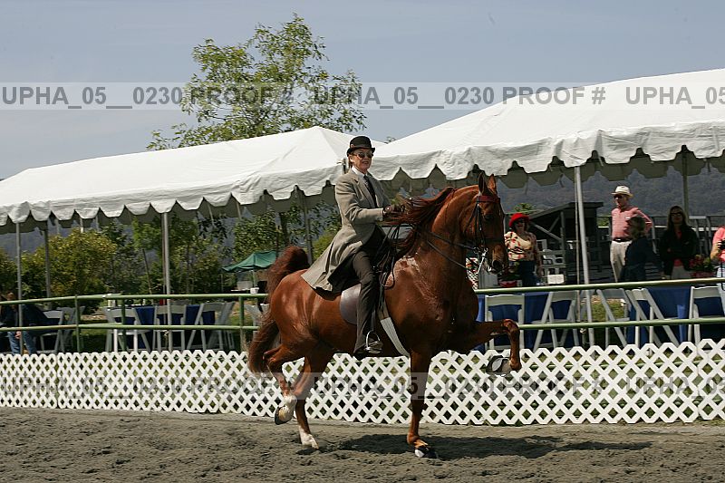 Proof upha_05__0230