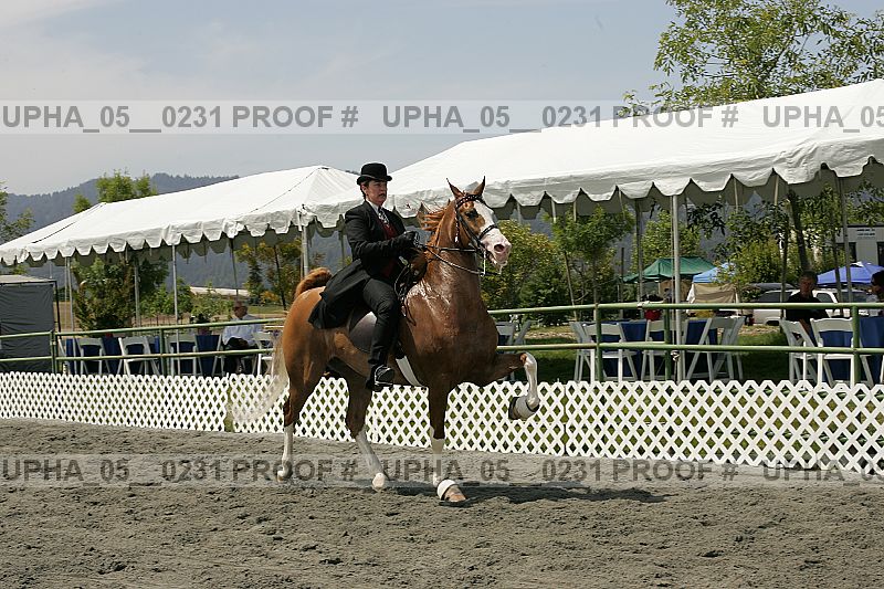 Proof upha_05__0231