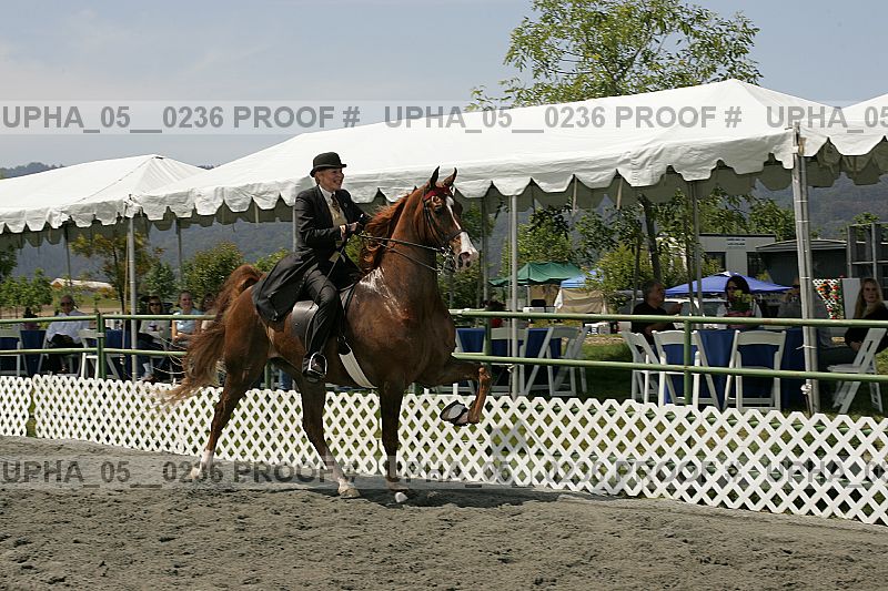 Proof upha_05__0236